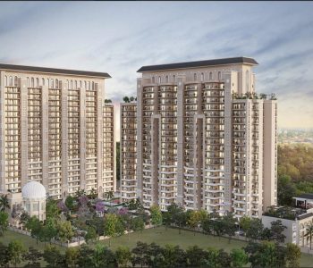 tvlodgo 1740033063 571078709 optorig